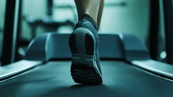 De qué trata el winter