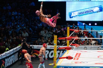 (CMLL / Marco Valles)