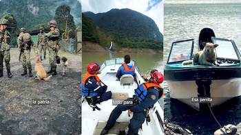 Bomberos y voluntarios coordinaron un operativo de alto riesgo para rescatar a la perrita en las cascadas de Macanal, Boyacá - crédito visitalomacanal / Instagram