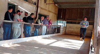 Los duelos en las canchas