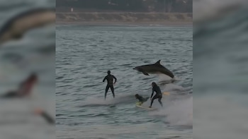 Usuarios de Instagram y TikTok