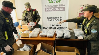 San Carlos de Bariloche: Gendarmería identificó más de 44 kilos de marihuana en cuatro encomiendas provenientes de Misiones