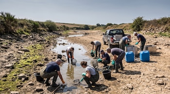 Un grupo de personas con botas y redes rescata peces de charcos de agua en un lecho de río seco con vegetación rala, una camioneta y bidones azules.
