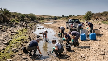 Francia: voluntarios rescatan peces ante el avance de la sequía y la ola de calor