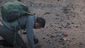 Alessio Checconi, paleontólogo y uno