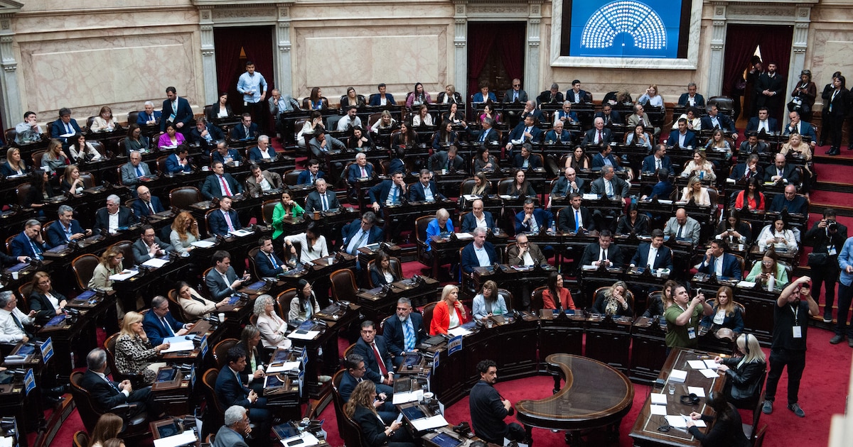 Diputados aprobó por amplia mayoría emplazamientos para tratar endeudamiento familiar y emergencia en discapacidad