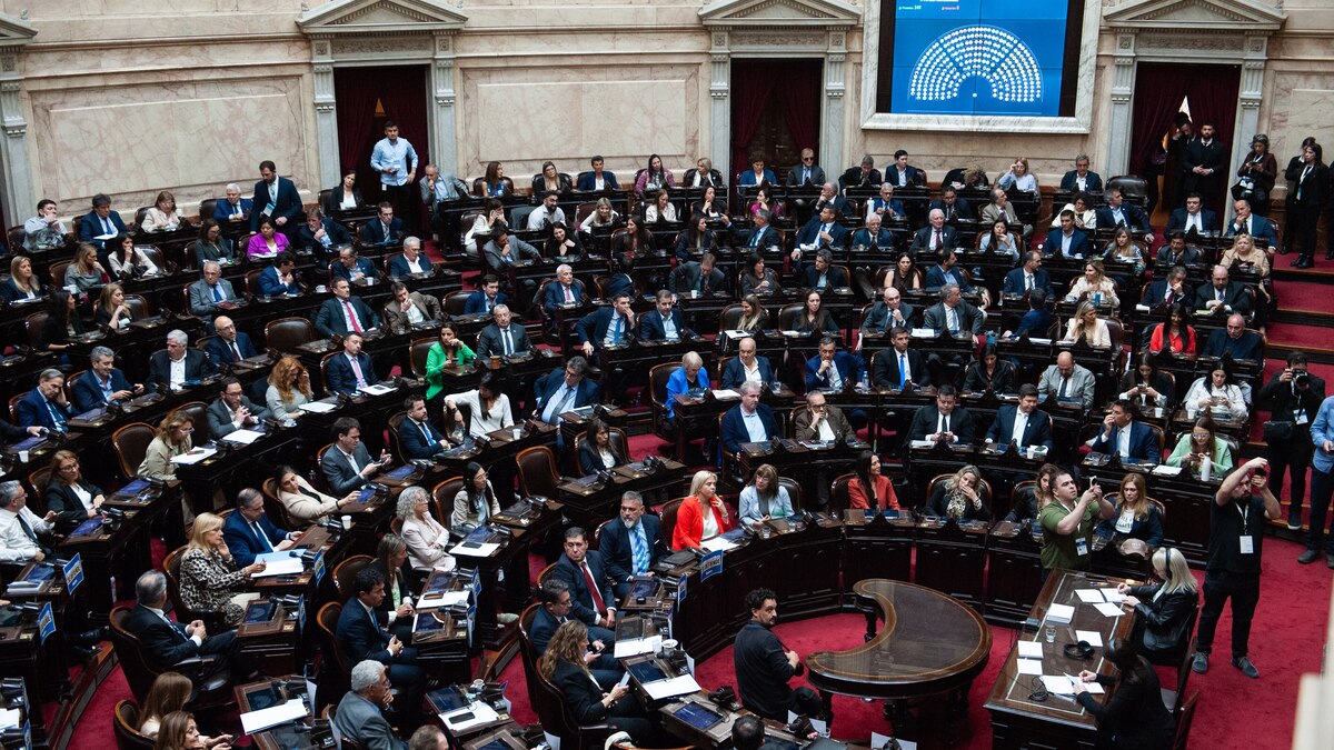 Diputados, en vivo: las últimas noticias del debate sobre el proyecto de democracia sindical y la reforma a ley de DNU