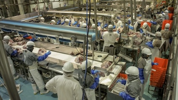 Cupos de importación de carne: