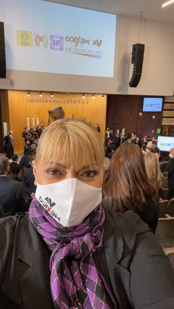 La diputada capitalina, Rocío Banquells,