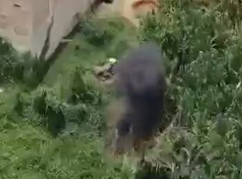 La desactivación fue controlada por