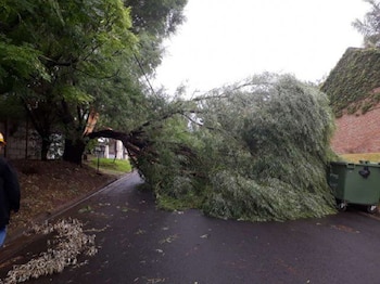 Se registraron anegamientos en diferentes