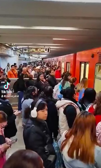 Avance en tiempo real de