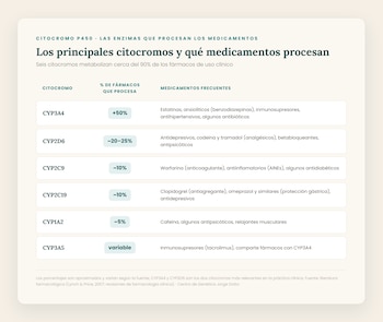 Captura de pantalla de una infografía que muestra una tabla con seis citocromos P450, el porcentaje de fármacos que procesan y medicamentos frecuentes asociados