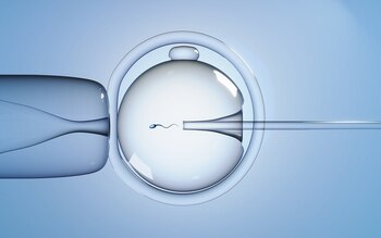 El primer bebé del mundo