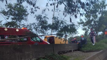 Una tractomula se chocó contra