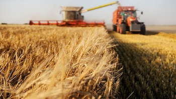 Maquinaria agrícola argentina: un año