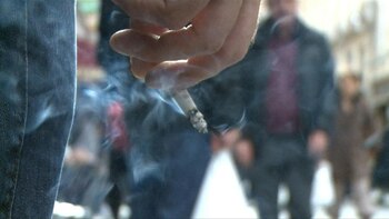 La industria del tabaco desarrolla