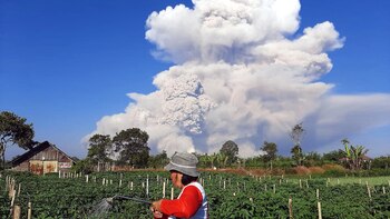 Un campesino observa la erupción
