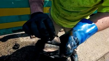 Una pareja encontró miles de dólares mientras pescaba en Nueva York