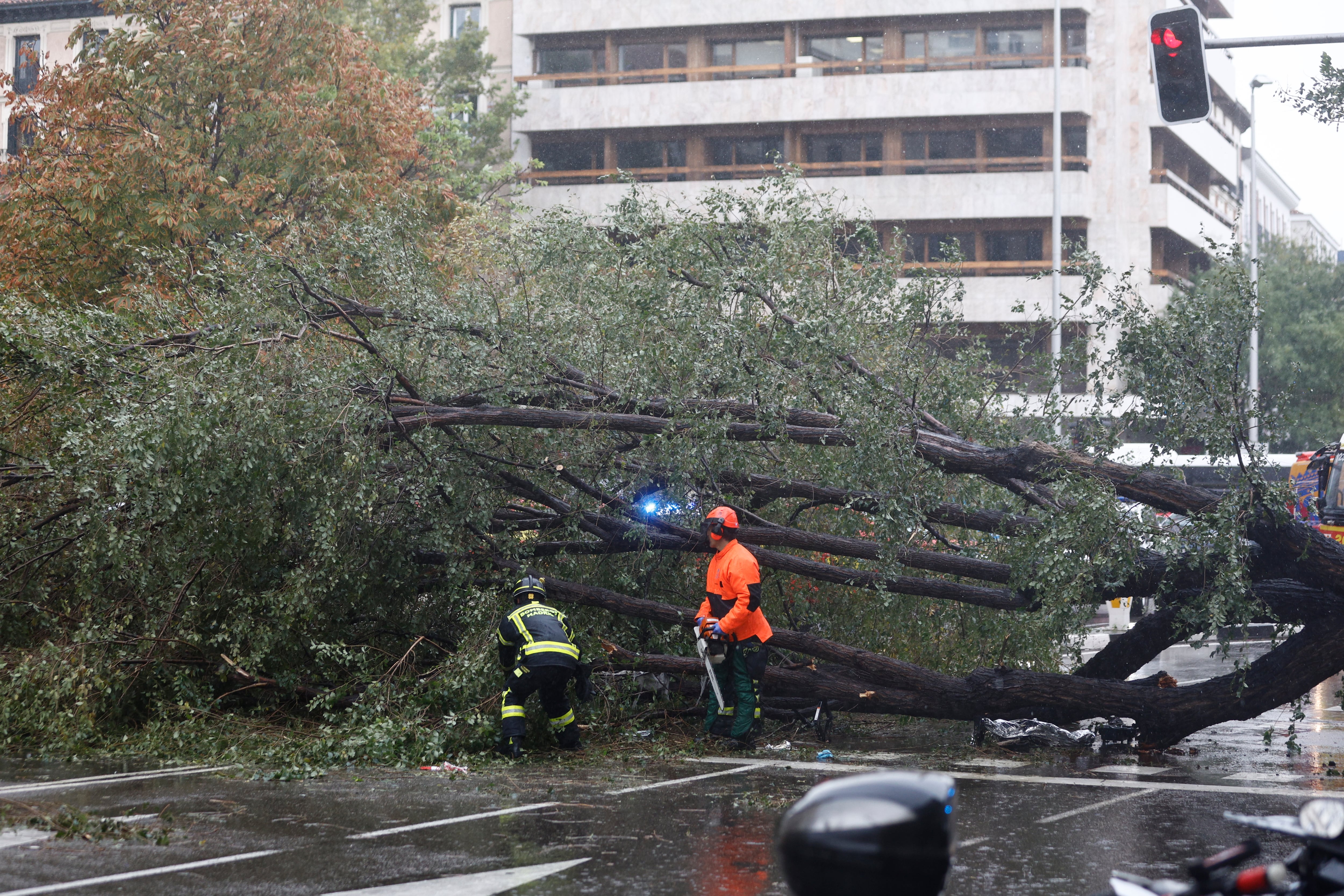 Tribunal Supremo falla a favor de propietarios en disputa por daños en finca arrendada