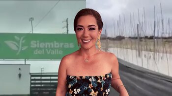 Proyecto por el que la