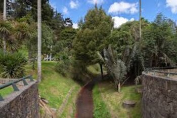 Hallaron cuerpo sin vida en