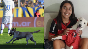 La odisea de Coco, el perro que invadió la cancha en Central-Tigre y es hincha de Newell’s
