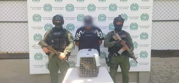 En un control rutinario, la