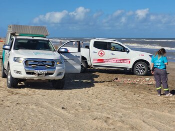 El cuerpo fue divisado en