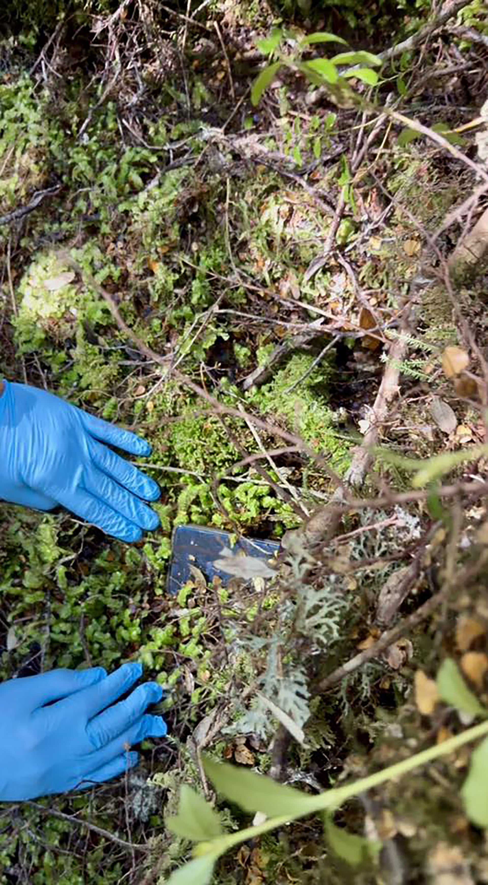 El hallazgo del dispositivo generó una fuerte carga emocional entre los voluntarios (Facebook / Rob Parsons)