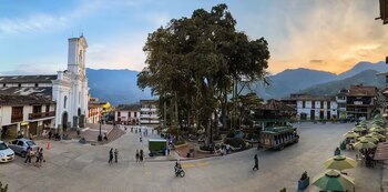 La alcaldía ofreció una recompensa