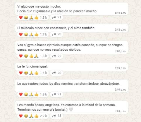 La cantante mexicana compartió en su canal de WhatsApp una reflexión en la que relaciona la disciplina en el ejercicio físico con la perseverancia en la fe, mostrando su altar dedicado a la Virgen de Guadalupe. (Captura de pantalla Ángela Aguilar)