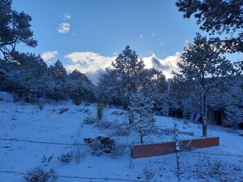 coahuila-nevada-mexico-10121