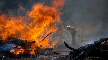 Guatemala refuerza el llamado prevenir incendios forestales, cuando supera 36 mil hectáreas afectadas en lo que va de 2026