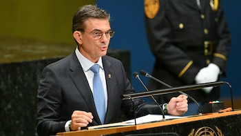 rodrigo paz onu