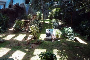 Un ramo de flores se