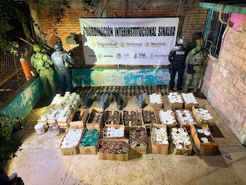 Decomiso de más de 550 explosivos en Sinaloa