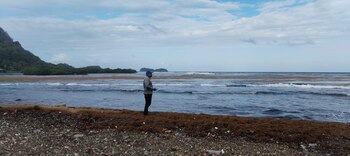 Guardaparques de MiAmbiente verificaron presencia