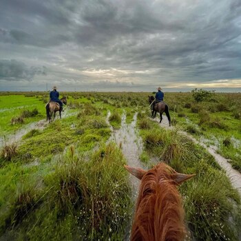 Los días de enero reflejan,