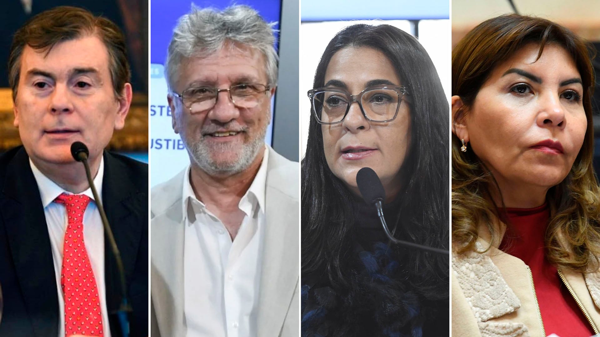 Senadores Zamora, Andrada, Moisés y Mendoza