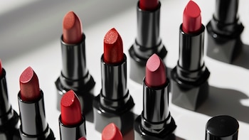 Francia inicia controles para eliminar