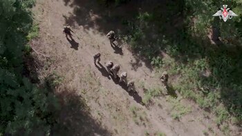 Uno de los videos muestra