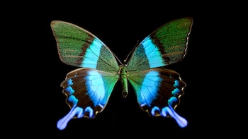 Si bien el estudio actual