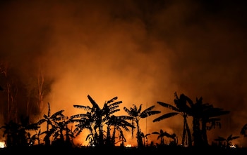 Pocas COPs climáticas previas discutieron