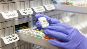 Científicos del CNIO investigan una inmunoterapia pionera que genera ‘células puñal’ contra el mieloma múltiple