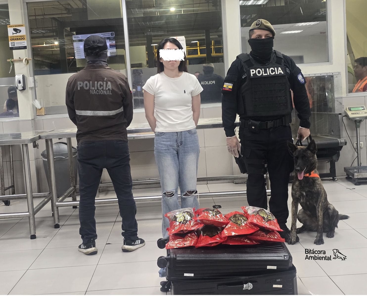 Una ciudadana china fue detenida. (Bitácora Ambiental)