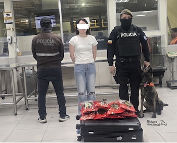 Una ciudadana china fue detenida. (Bitácora Ambiental)