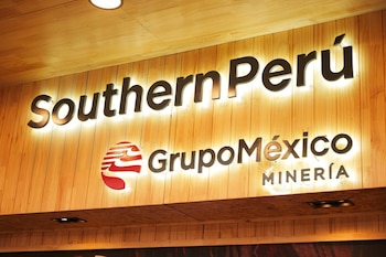 A lo largo de más de 20 años, dirigió Southern Perú —una de las principales productoras de cobre— y encabezó la división minera de Grupo México.