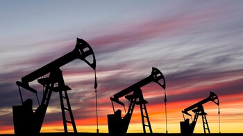 La investigación sugirió que el