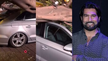 Enorme árbol cae sobre el